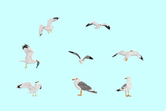 Seagulls Machine Embroidery Designs Review